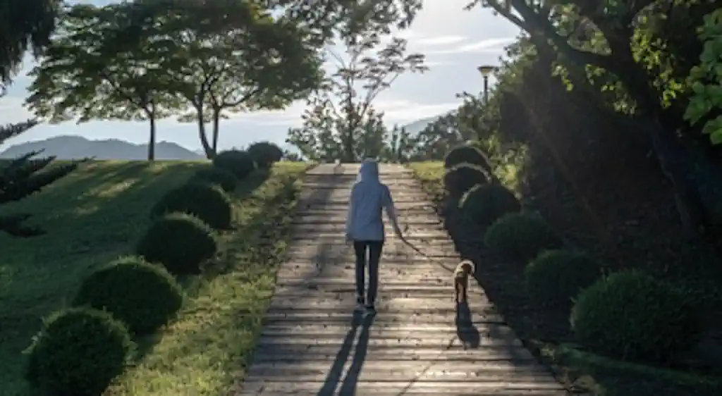 Privatno osiguranje od odgovornosti