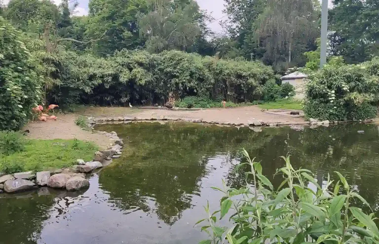 Obiteljski Vikend u Njemačkoj